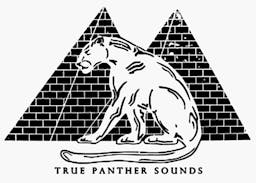 True Panther Sounds